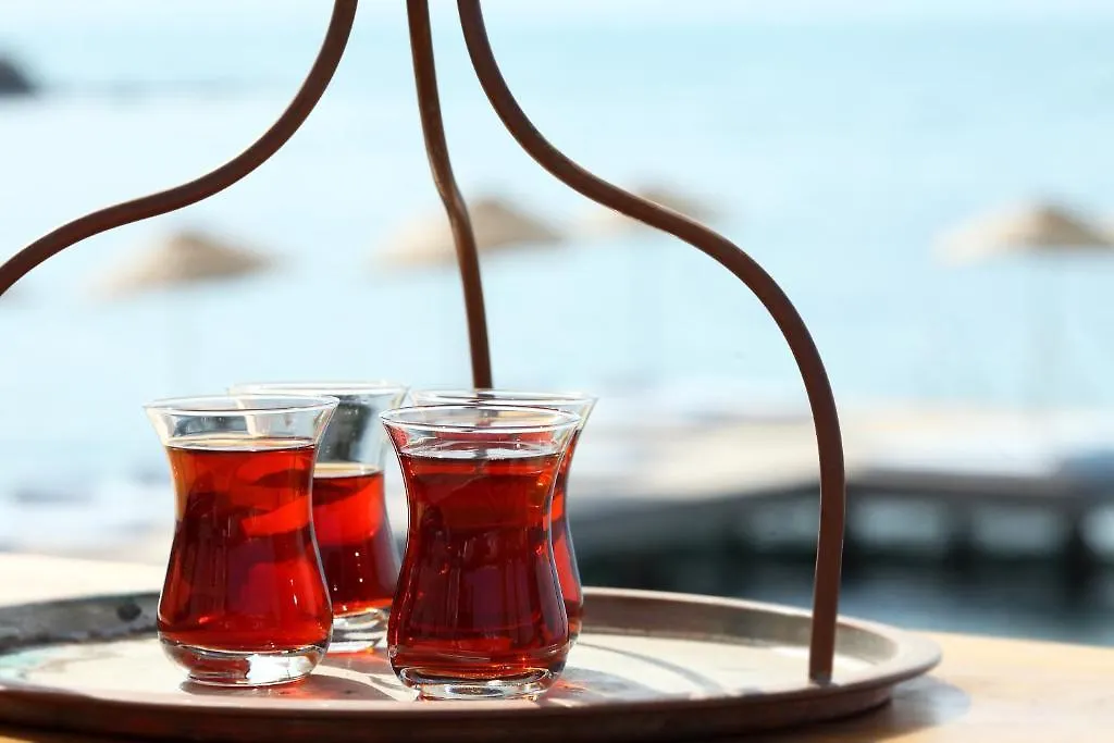 Med-Inn Hotel Gulluk 4*,  Turquia